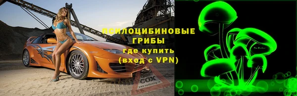прущие крисы Арсеньев