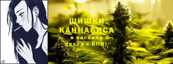 прущие крисы Арсеньев