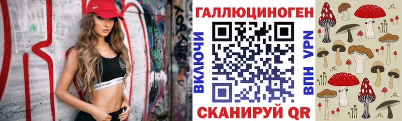 MEGA ONION  Ревда  Псилоцибиновые грибы Psilocybe 